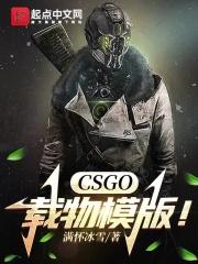 CSGO载物模版