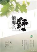 他那么野南巷茶茶简介