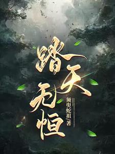 踏天无痕纵横中文网