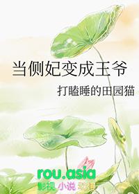 当侧妃变成王爷的漫画