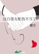 这白莲女配我不当了无错版