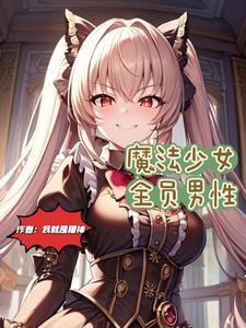 魔法少女全员男性形象