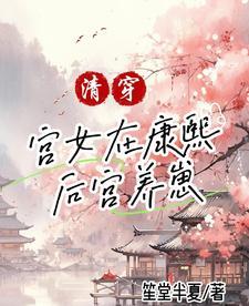 清穿康熙的宫女