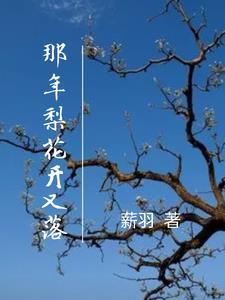 那年梨花又开放韩红