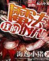 我的魔法时代校对版