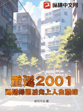 重返2001免费阅读陆枫