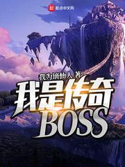 我是传奇boss免费阅读