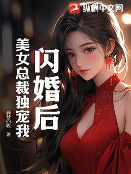 中年危机我闪婚美女总裁